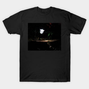Garden Solar Light in the Dark T-Shirt